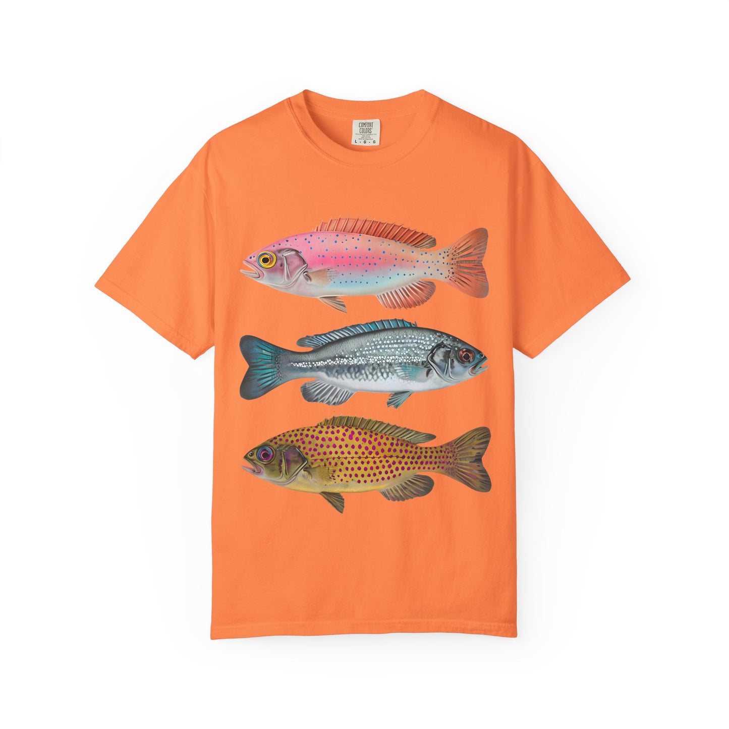 Aesthetic Fish