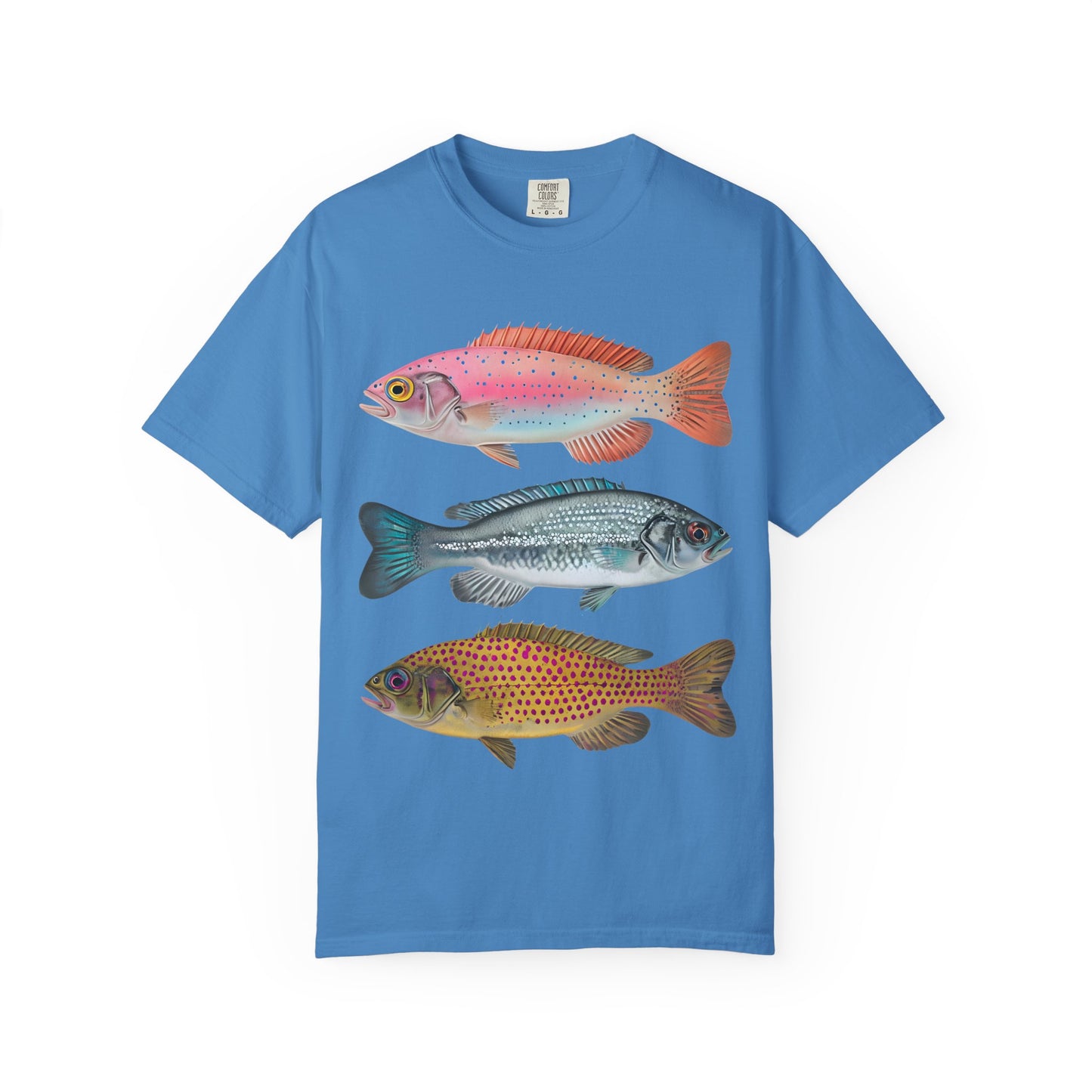 Aesthetic Fish