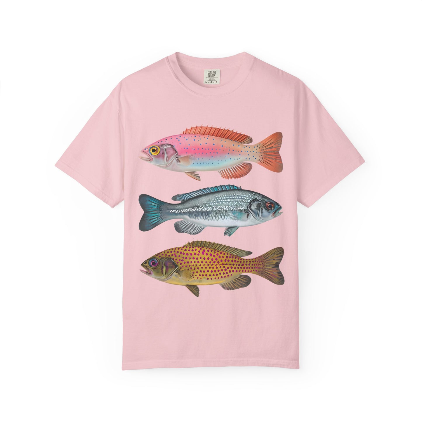 Aesthetic Fish