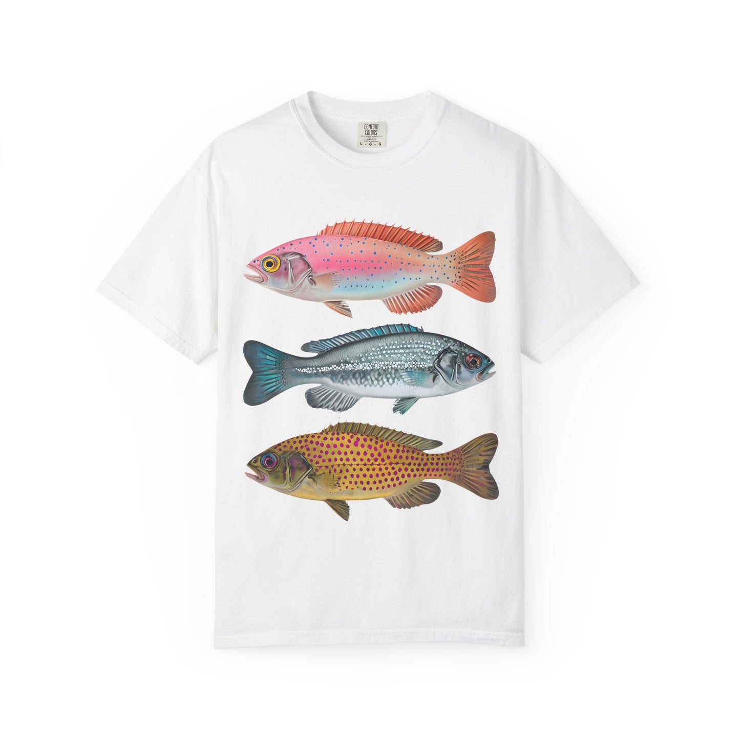Aesthetic Fish